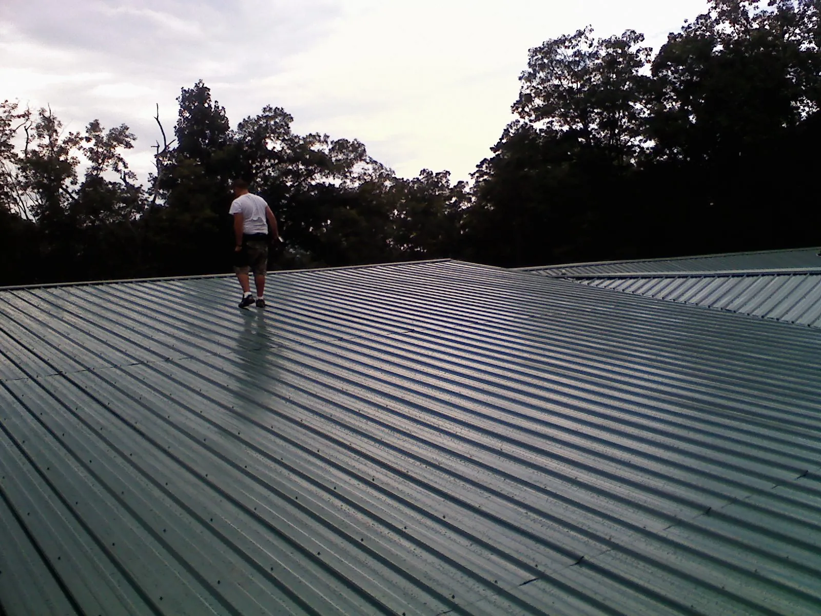 Roofer walking a wide expanse of new green metal roofing in Welaka