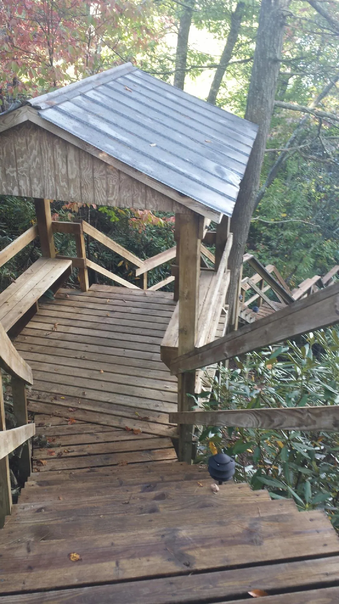Metal roofed shelter over wooden steps on a wooded walkway — Skylight Repair & Installation work by our crew in Welaka